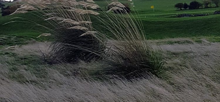 Report from Junior Girls Event at Swanston today, 15th October 2017. Report from Junior Girls Event at Swanston today, 15th October 2017.