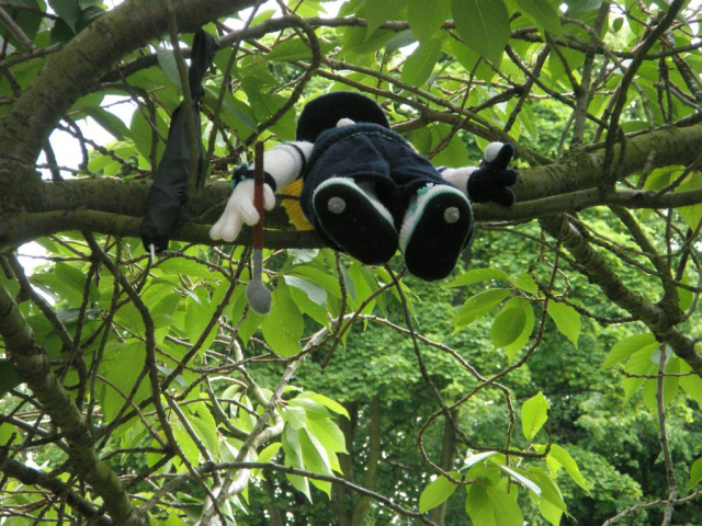 Michaela having been kidnapped by one of the Stirling and Clackmannanshire team at the district County matches at Royal Musselburgh. Photo courtesy of Tracy Laughland